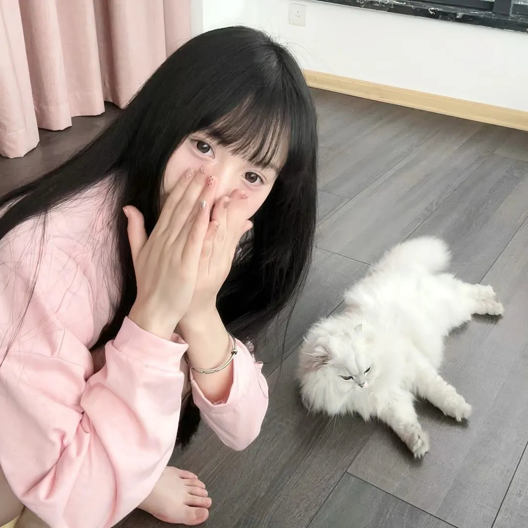 动画综艺